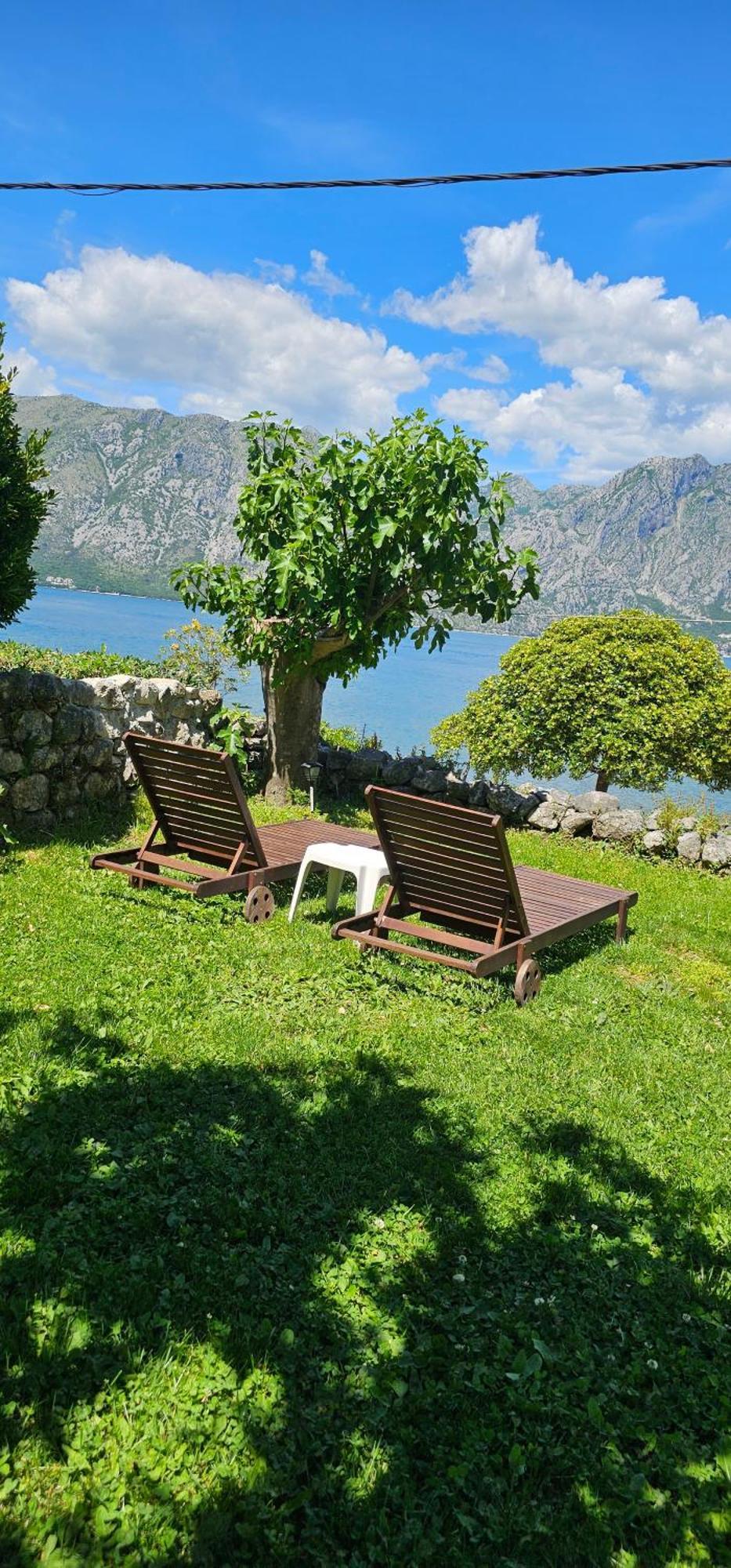 Apartments Popovic Kotor Exteriér fotografie