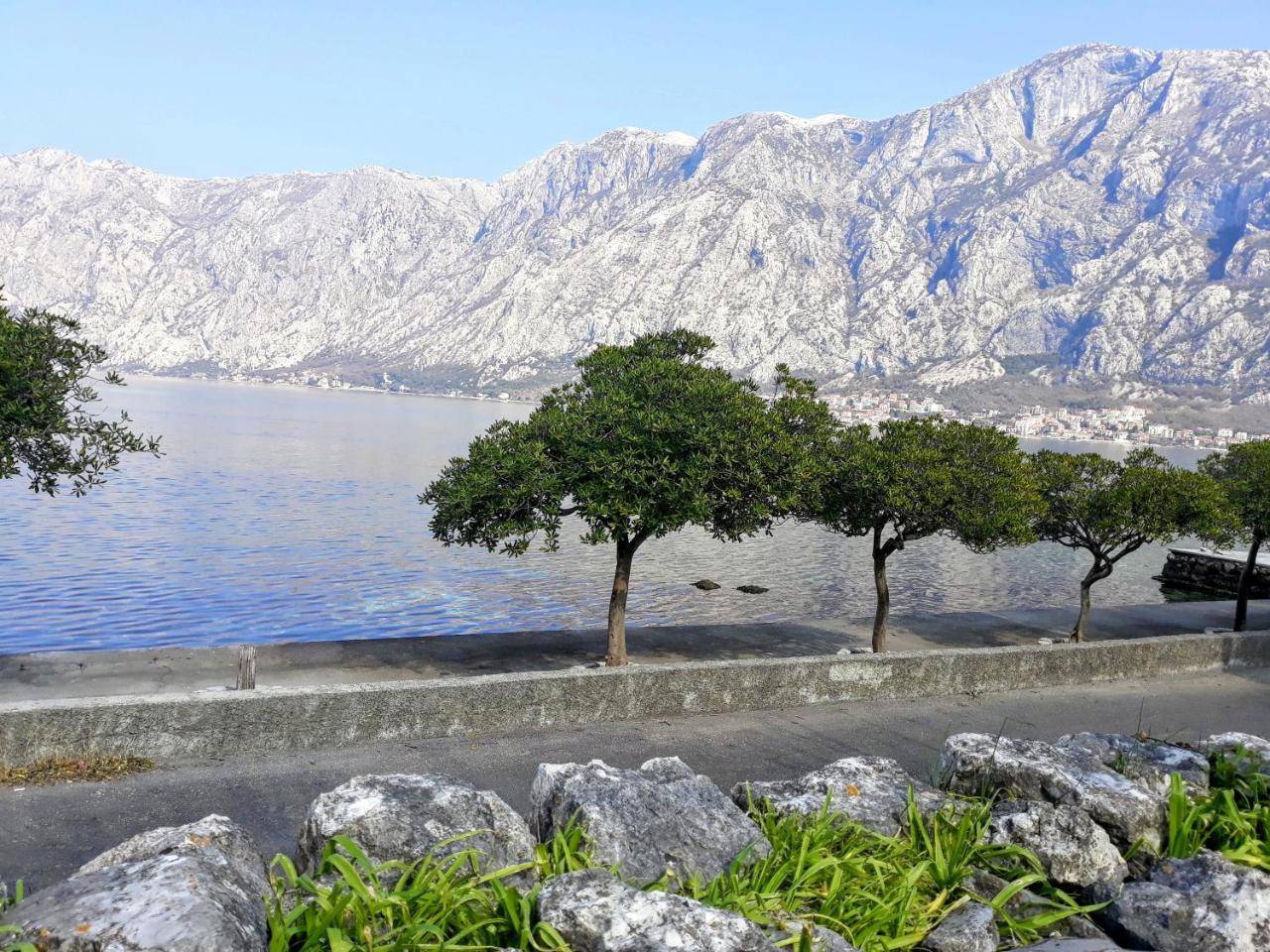 Apartments Popovic Kotor Exteriér fotografie